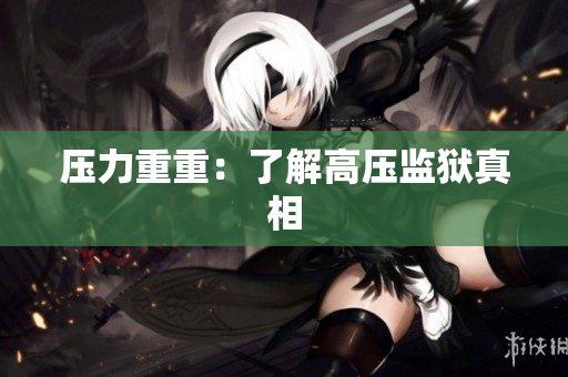 压力重重：了解高压监狱真相