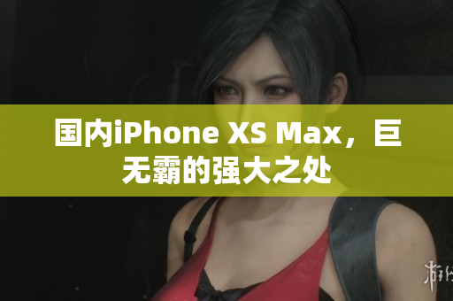 国内iPhone XS Max，巨无霸的强大之处