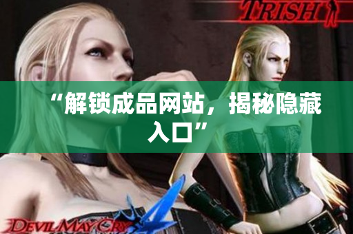 “解锁成品网站，揭秘隐藏入口”
