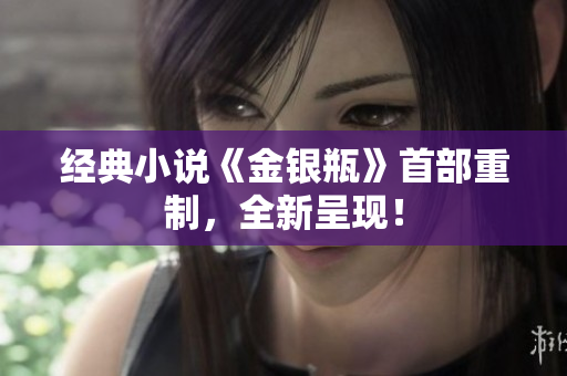 经典小说《金银瓶》首部重制，全新呈现！