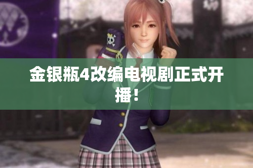 金银瓶4改编电视剧正式开播！
