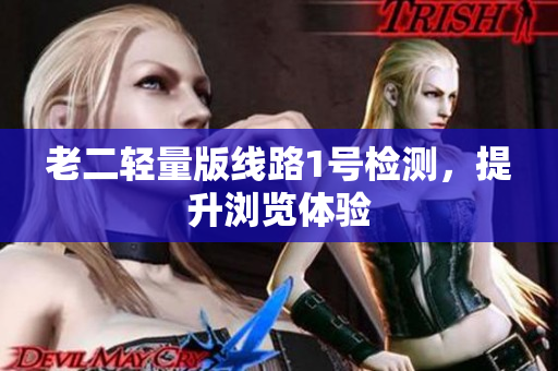 老二轻量版线路1号检测，提升浏览体验