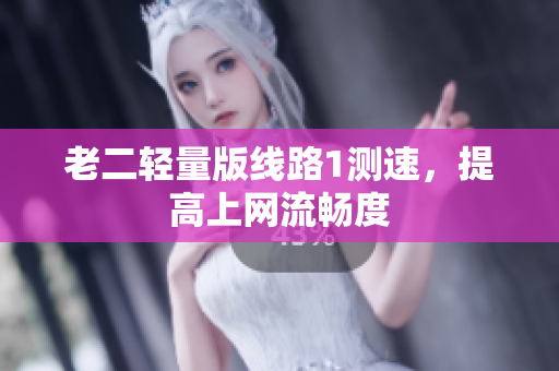 老二轻量版线路1测速，提高上网流畅度
