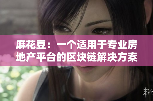 麻花豆：一个适用于专业房地产平台的区块链解决方案