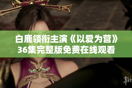 白鹿领衔主演《以爱为营》36集完整版免费在线观看