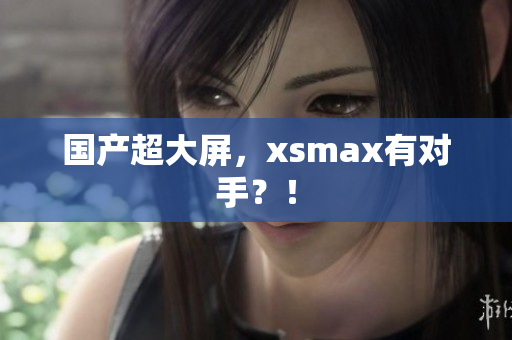 国产超大屏，xsmax有对手？！