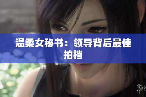 温柔女秘书：领导背后最佳拍档