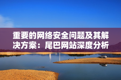 重要的网络安全问题及其解决方案：尾巴网站深度分析