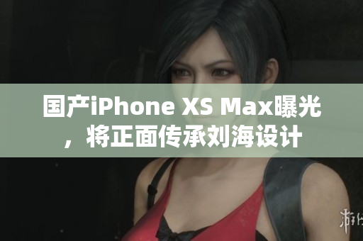 国产iPhone XS Max曝光，将正面传承刘海设计
