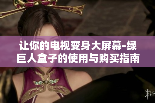 让你的电视变身大屏幕-绿巨人盒子的使用与购买指南