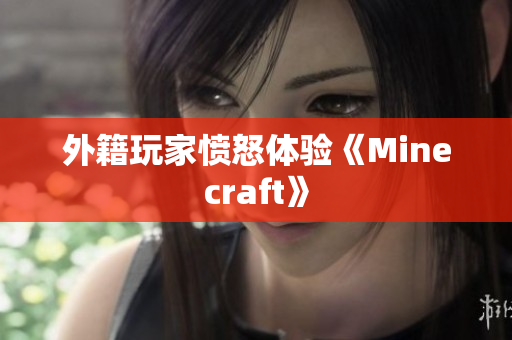 外籍玩家愤怒体验《Minecraft》