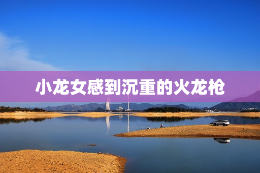 小龙女感到沉重的火龙枪