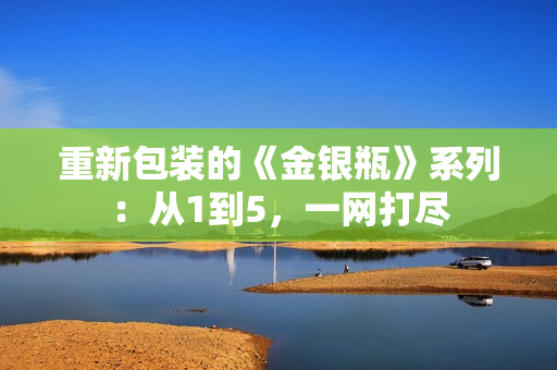 重新包装的《金银瓶》系列：从1到5，一网打尽