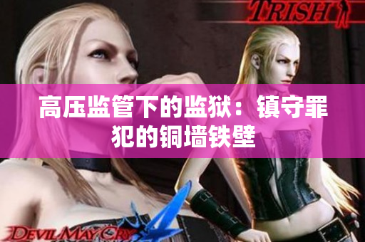高压监管下的监狱：镇守罪犯的铜墙铁壁
