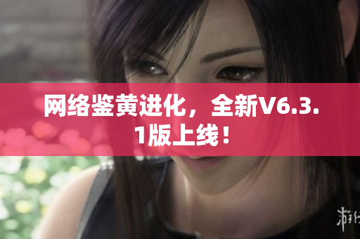 网络鉴黄进化，全新V6.3.1版上线！