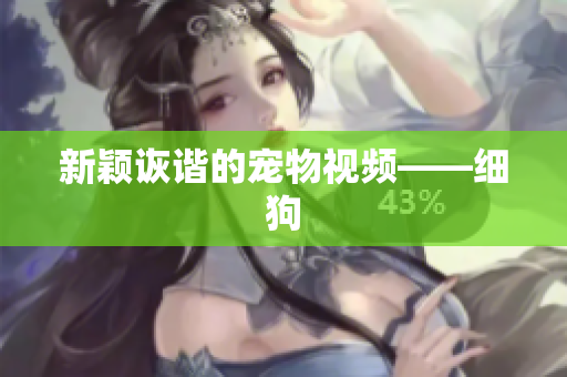 新颖诙谐的宠物视频——细狗
