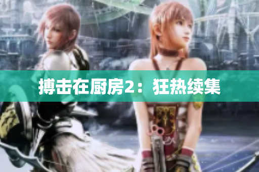 搏击在厨房2：狂热续集