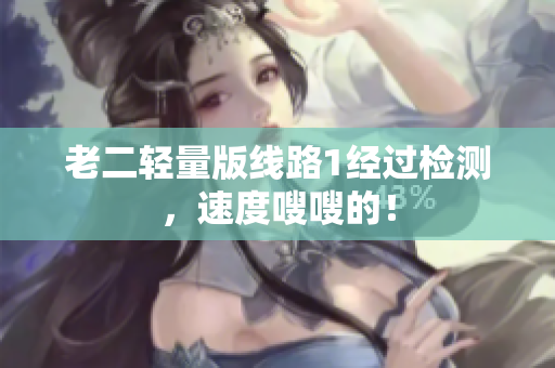 老二轻量版线路1经过检测，速度嗖嗖的！