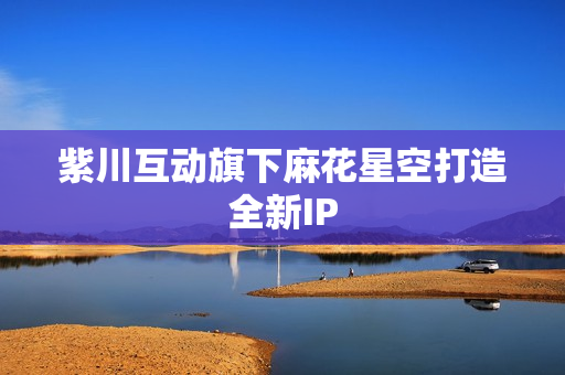 紫川互动旗下麻花星空打造全新IP