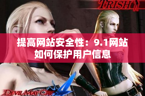 提高网站安全性：9.1网站如何保护用户信息