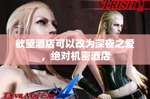 欲望酒店可以改为深夜之爱，绝对机密酒店