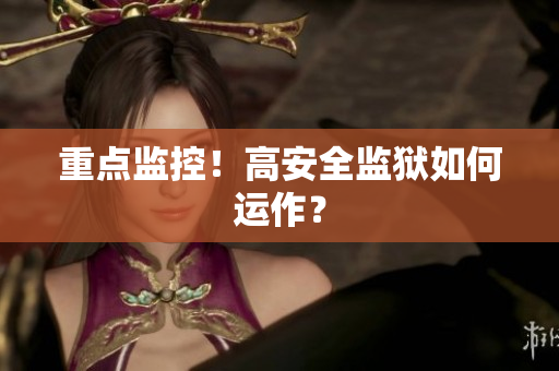重点监控！高安全监狱如何运作？