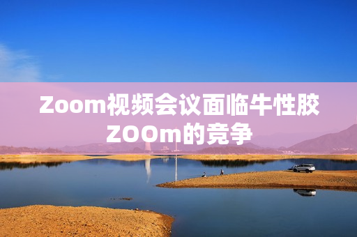 Zoom视频会议面临牛性胶ZOOm的竞争