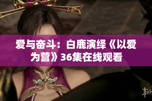 爱与奋斗：白鹿演绎《以爱为营》36集在线观看