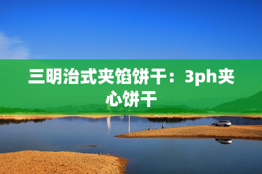 三明治式夹馅饼干：3ph夹心饼干