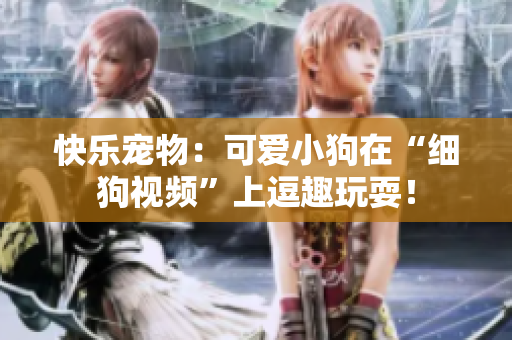 快乐宠物：可爱小狗在“细狗视频”上逗趣玩耍！