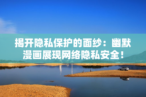 揭开隐私保护的面纱：幽默漫画展现网络隐私安全！