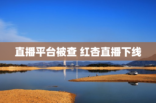 直播平台被查 红杏直播下线