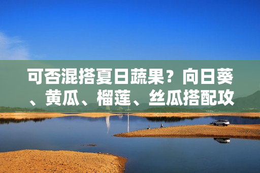 可否混搭夏日蔬果？向日葵、黄瓜、榴莲、丝瓜搭配攻略！
