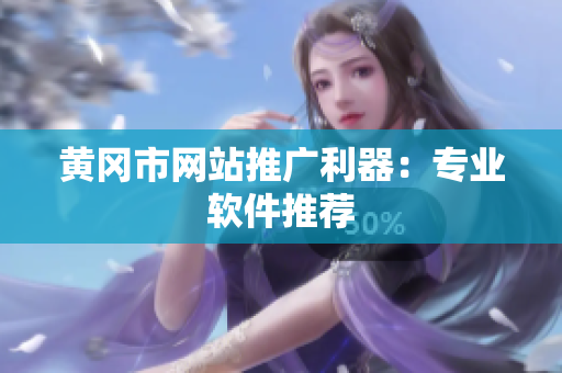 黄冈市网站推广利器：专业软件推荐