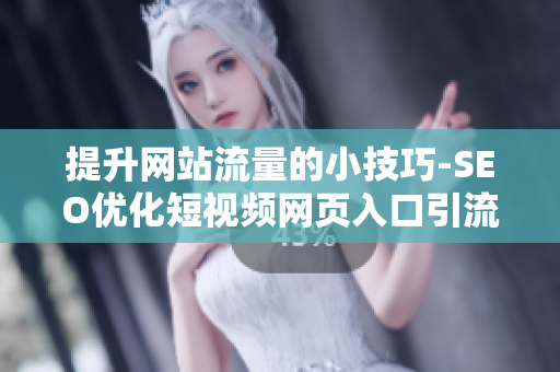 提升网站流量的小技巧-SEO优化短视频网页入口引流