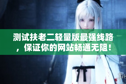 测试扶老二轻量版最强线路，保证你的网站畅通无阻！