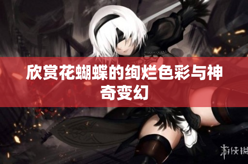 欣赏花蝴蝶的绚烂色彩与神奇变幻