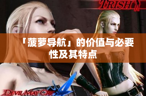 「菠萝导航」的价值与必要性及其特点