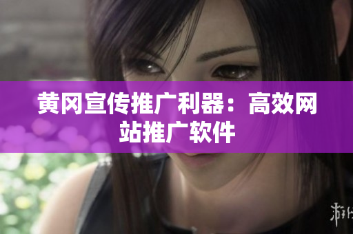 黄冈宣传推广利器：高效网站推广软件