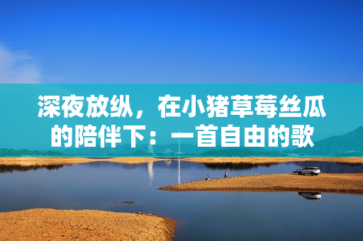 深夜放纵，在小猪草莓丝瓜的陪伴下：一首自由的歌