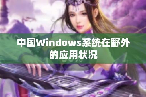 中国Windows系统在野外的应用状况
