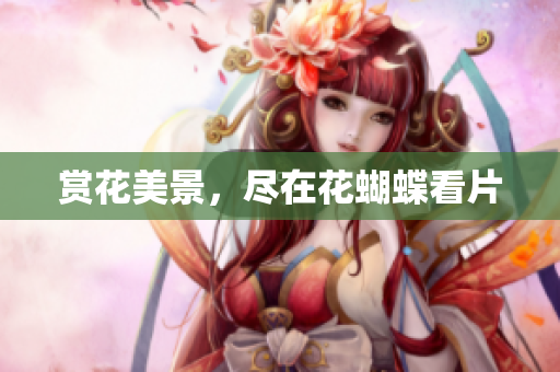 赏花美景，尽在花蝴蝶看片