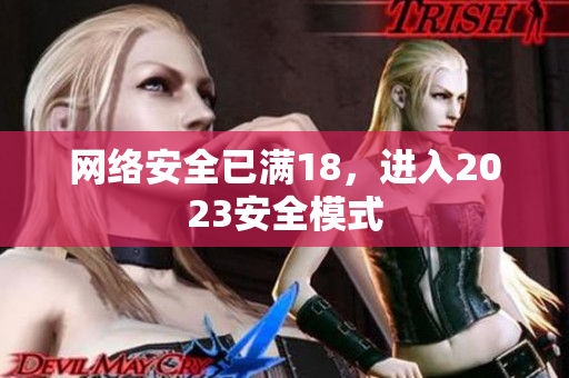网络安全已满18，进入2023安全模式