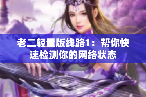 老二轻量版线路1：帮你快速检测你的网络状态
