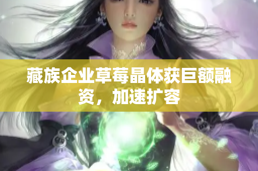 藏族企业草莓晶体获巨额融资，加速扩容
