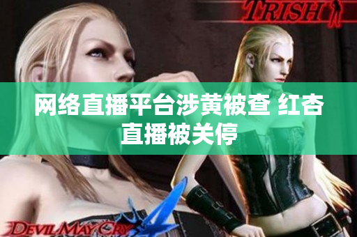 网络直播平台涉黄被查 红杏直播被关停