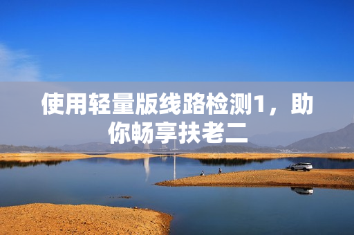 使用轻量版线路检测1，助你畅享扶老二