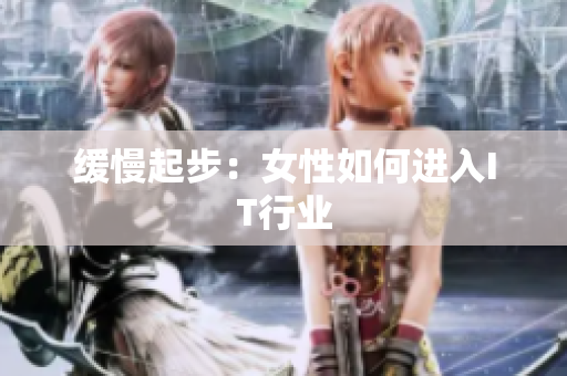 缓慢起步：女性如何进入IT行业