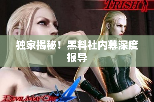 独家揭秘！黑料社内幕深度报导