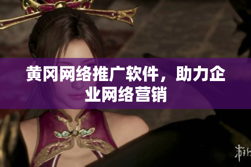 黄冈网络推广软件，助力企业网络营销